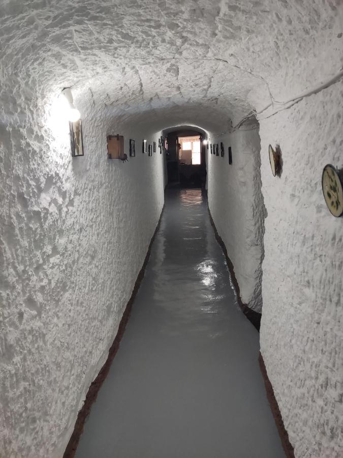 Cueva Navarro Gorafe Eksteriør bilde
